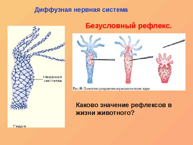 Kraken ссылка сайт kraken clear com